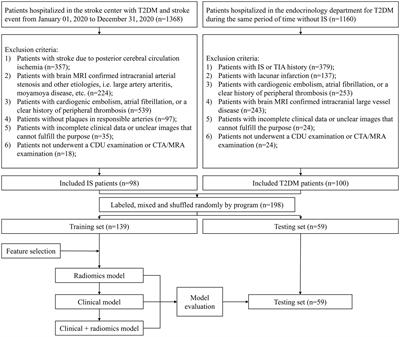 Explore the value of carotid ultrasound radiomics nomogram in predicting ischemic stroke risk in patients with type 2 diabetes mellitus